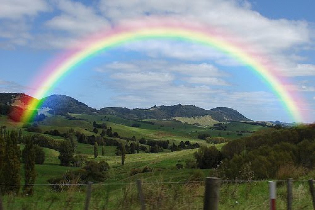http://urloplandia.pl/files/gallery/272/welfare-rainbow-2.jpg